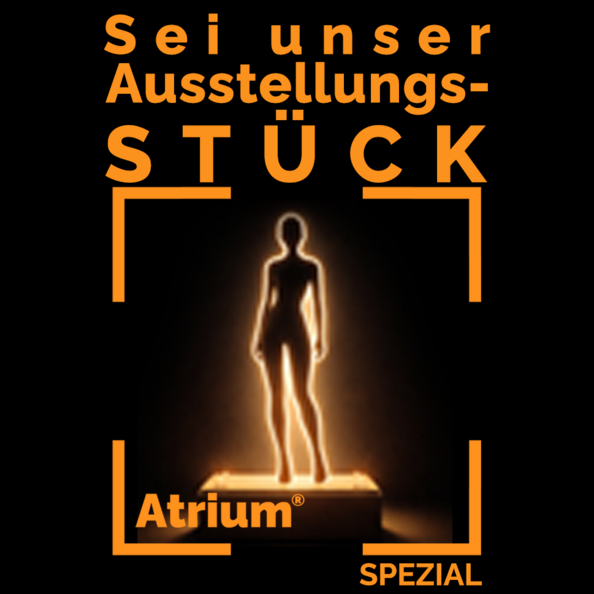 ausstellungsstuck.png