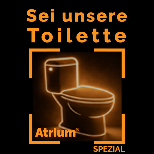 atrium-toilette-3.png